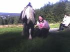 SUCHE REITBETEILIGUNG IN ISERLOHN !!!!!
