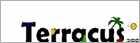 Pauschalreise Lastminute Flug Partyurlaub