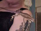 Suche Weibliche/n Wüstenleguan 