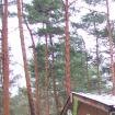 Waldgrundstück
