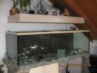 2 METER AQUARIUM