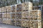 Brennholz aus Buche, Hainbuche und Esche, hart und trocken