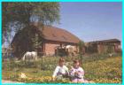 Osterferien Ostseebauernhof