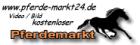 Pferde gesucht