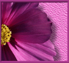 Mediales Kartenlegen, Reiki