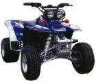 Quad Yamaha YFM 350 Warrior