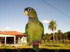 D&M-Paraguay  Immobilien