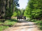 Pferde, Urlaub  und mehr