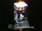 Kristallglas Teelichthalter mit Sternzeichen + LED Untersetzer