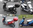 Motorroller 50ccm 599€ NEU!