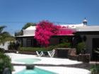 Bungalows Malwasia bei Masdache auf Lanzarote