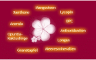 Radikalfänger = Antioxidantien