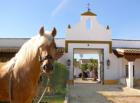 Www.Reiterflirt.eu und Hacienda El Boyal verlosen eine Woche Single-Urlaub in An