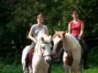 Reitbeteiligung
