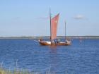 Wassergrundstück Piratennest Ostsee Halbinsel Darß mit Hund - Angeln