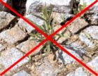 Selbständige, sicher Existenz als Dienstleister im Gartenbereich
