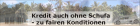 Der schufafreie Kredit
