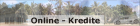 Onlinekredite - jetzt vergleichen und sparen