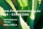 Mallorca Fincavermietung