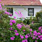 Finca bei Frontera auf El Hierro
