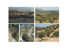 EILVERKAUF! Gelände für Campingplatz in Südspanien Andalusien