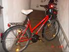 Damenmountainbike 26 Zoll marke TREND