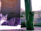 Cloe und Max suchen ein neues Zuhause