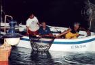 Il Pescaturismo - Urlaub mit Fischern