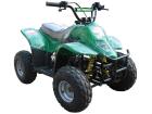 NeSS Kinderquad 110cc