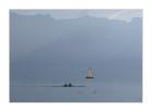 Segelyacht zu vermieten auf dem Genfersee