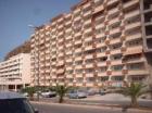 Appartment Flamingo in Palm Mar im Süden von Teneriffa
