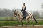 Biete RB in 74582 Gerabronn