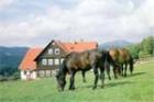 Ferienhäuser und Ferienwohnungen in Tschechien