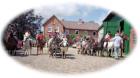Reiterferien an der Ostsee