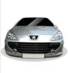 Gewinnen Sie einen Peugeot 307 2.0/140 Platinum Gebrauchtwagen in silbermetallic