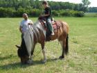 Reiten für Kinder,ältere Reitanfänger und Wiedereinsteiger