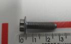 Schraube TRX FLG M6-1.0X23 [8.8]-MP Tesla Modell 3 1100020-00-A
