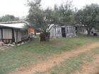 Kroatien - kleines Familiencamp für Tierschen und Menschen bei Sibenik