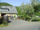 Mosel und Rhein genießen in den Weinbergen bei Cochem