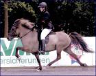 Suche Ferienjob
