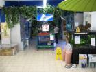 Flohmarkt bei ZOO Apel