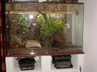 Terrarium Vollglas