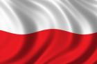 Deutsch   Polnisch Übersetzungen online