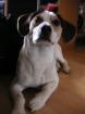 Hallo ich bin der benny