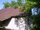 In der Nahe von Theiss