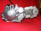 150 cc Lifan Motor für Dax-Monkey-PBR-Madass-Pitbike