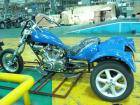 Trike Modell Whizzard