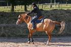 Reitferien für Kinder. Jugendliche und Erwachsene, ganzjährig