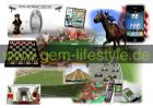 Internet Social Networks sind die schnellstwachsenden Community