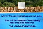 Finca Mallorca Herbst, Weihnachten Mandelblüte Frühling